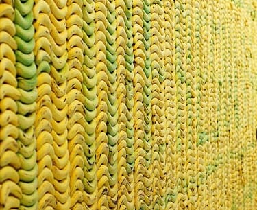 tag-sistema-a-cappotto-di-banane tag-sistema-a-cappotto-di-banane