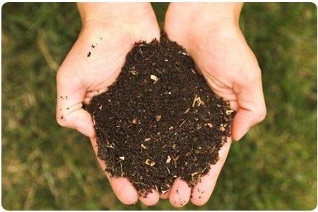  Compost