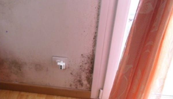 - e-portfolio lavori 205 2012: bonifica dalla muffa, nuove finiture interne, installazione VMC decentralizzata PADOVA Gradi Giorno 2383 Zona Climatica E