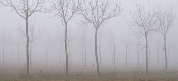 casa-isolamento-termico-clima-umido-nebbioso-tipico-pianura-padana-02